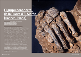 El Grupu Neandertal De La Cueva D'el Sidrón