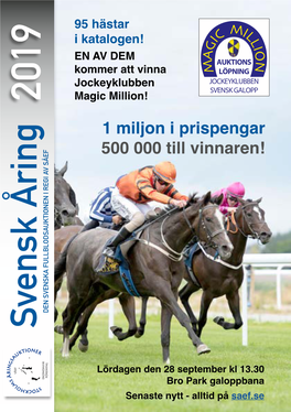 1 Miljon I Prispengar 500 000 Till Vinnaren!