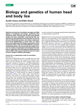 Biology and Genetics of Human Head and Body Lice