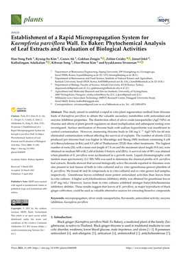 Phytochemical Analysis of Leaf Extracts and Evaluation of Biological Activities