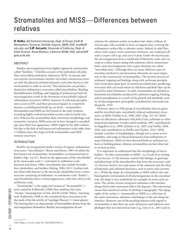 Stromatolites and MISS—Differences Between Relatives