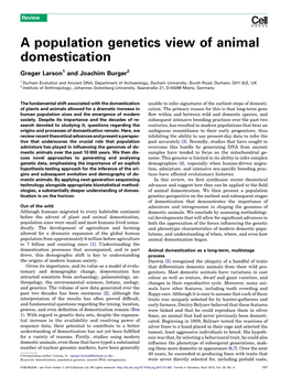 A Population Genetics View of Animal Domestication