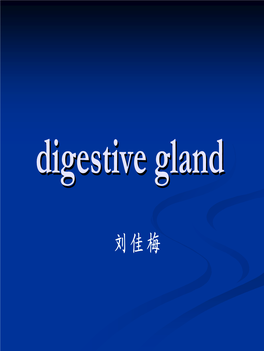 Digestive Glandgland