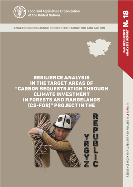 Resilience Analysis in the Target Areas of “Carbon Sequestration Through Climate Investment in Forests and Rangelands (Cs-For)” Project in the Rima Ii