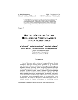 Multiple Genes and Diverse Hierarchical Pathways Affect Human Pigmentation