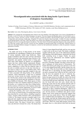 Mesostigmatid Mites Associated with the Dung Beetle Copris Lunaris (Coleoptera: Scarabaeidae)