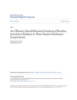 An Olfactory Based Behavioral Analysis of Bombus Terrestris in Relation to Three Strains of Solanum Lycopersicum Matthew Ap Ul Lamore MPL009@Bucknell.Edu