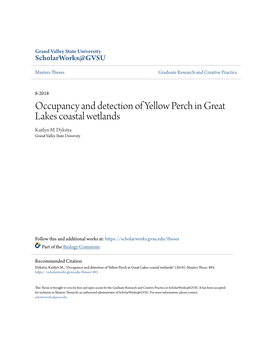 Occupancy and Detection of Yellow Perch in Great Lakes Coastal Wetlands Kaitlyn M