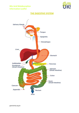 Bile Acid Malabsorption Information Leaflet