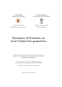 Dynamics of D-Branes on Local Calabi-Yau Geometries