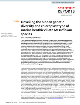 Unveiling the Hidden Genetic Diversity and Chloroplast Type of Marine