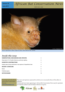 African Bat Conservation News June 2011 ISSN 1812-1268