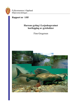 Rapport Nr 1/05 Harrens Gyting I Lesjaskogsvatnet Kartlegging Av