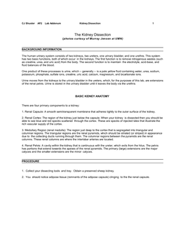 The Kidney Dissection (Photos Curtosy of Murray Jensen at UMN)