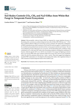 Soil Redox Controls CO2, CH4 and N2O Efflux from White-Rot Fungi In