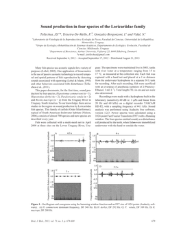 Sound Production in Four Species of the Loricariidae Family