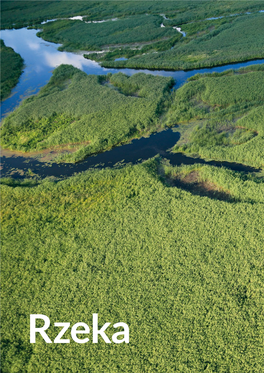 Doliny Przez Narew Brzańskiej Kształtował Więc Lądolód Środkowovistuliański