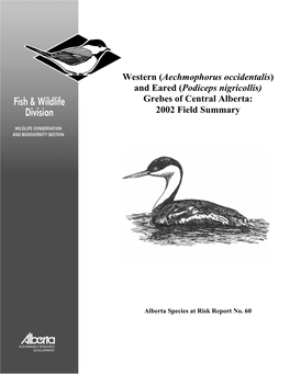 (Podiceps Nigricollis) Grebes of Central Alberta: 2002 Field Summary