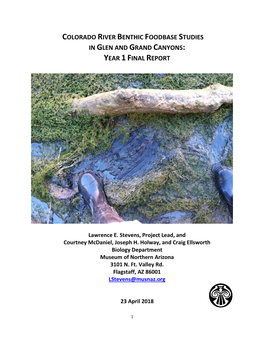 Colorado River Benthic Foodbase Studies in Glen and Grand Canyons: Year 1 Final Report
