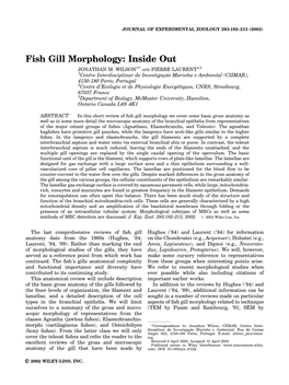 Fish Gill Morphology: Inside out 1 2,3 JONATHAN M