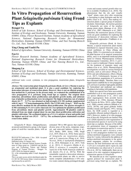 In Vitro Propagation of Resurrection Plant Selaginella Pulvinata Using