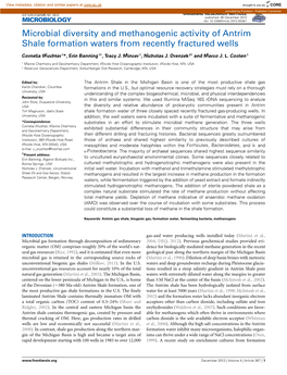 Microbial Diversity and Methanogenic Activity of Antrim Shale Formation Waters from Recently Fractured Wells