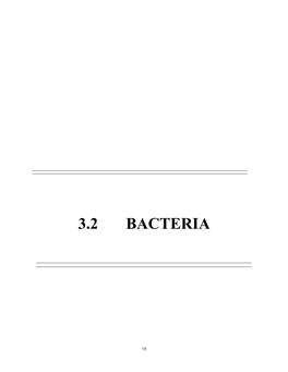 3.2 Bacteria