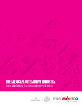 The Mexican Automotive Industry: Current Situation, Challenges and Opportunities