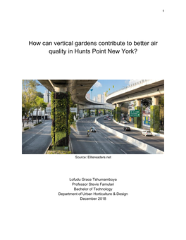 How Can Vertical Gardens Contribute to Better Air Quality in Hunts Point New York?