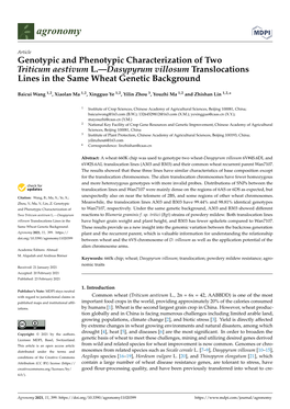 Dasypyrum Villosum Translocations Lines in the Same Wheat Genetic Background