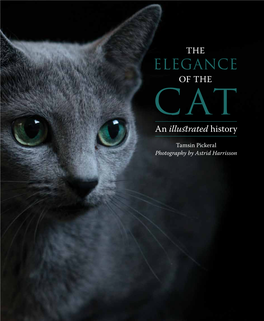 THE ELEGANCE of the CAT an Illustrated History