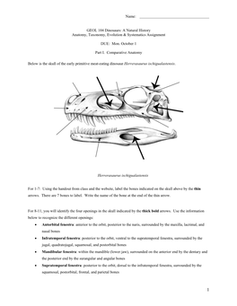 GEOL 104 Dinosaurs: a Natural History Anatomy, Taxonomy, Evolution & Systematics Assignment