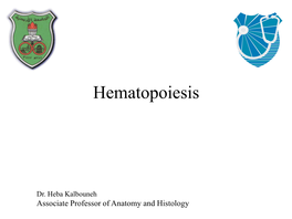 Hematopoiesis