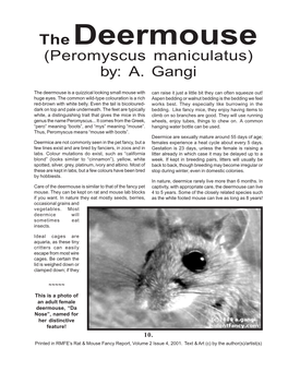 The Deermouse (Peromyscus Maniculatus) By: A. Gangi