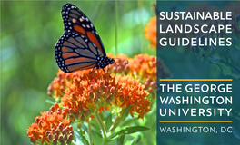 Sustainable Landscape Guidelines