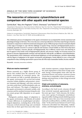 The Neocortex of Cetaceans: Cytoarchitecture and Comparison with Other Aquatic and Terrestrial Species