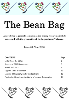The Bean Bag