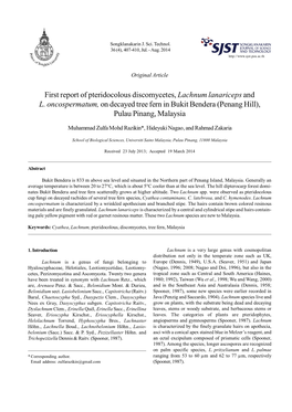 First Report of Pteridocolous Discomycetes, Lachnum Lanariceps and L