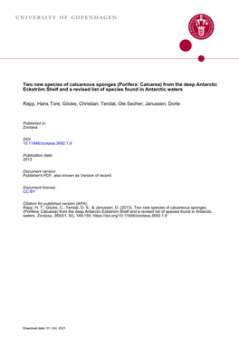 Two New Species of Calcareous Sponges (Porifera: Calcarea) from the Deep Antarctic Eckström Shelf and a Revised List of Species Found in Antarctic Waters