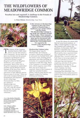 THE WILDFLOWERS of MEADOWRIDGE COMMON Paradise Lost and Regained? a Challenge to the Friends of Meadowridge Common