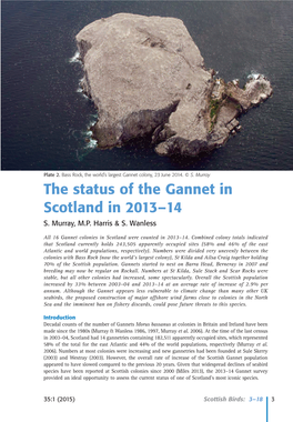 The Status of the Gannet in Scotland in 2013–14 S