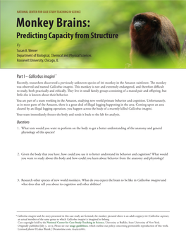 Monkey Brains: Predicting Capacity from Structure by Susan A