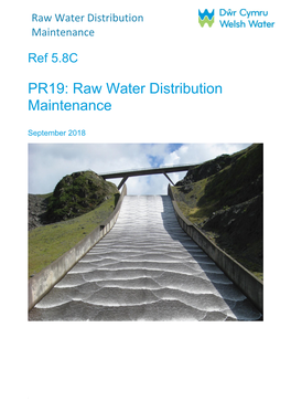 Raw Water Distribution Maintenance