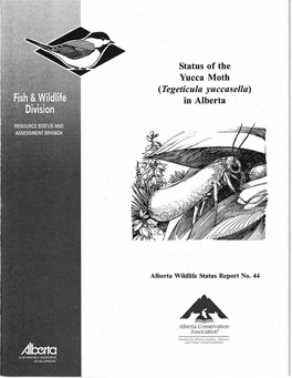 Status of Yucca Moth in Alberta 2002