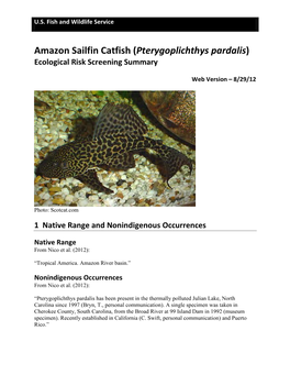Amazon Sailfin Catfish (Pterygoplichthys Pardalis) Ecological Risk Screening Summary