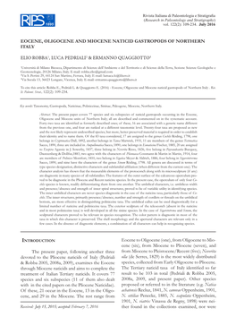 Eocene, Oligocene and Miocene Naticid Gastropods of Northern Italy