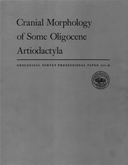 Cranial Morphology of Some Oligocene Artiodactyla