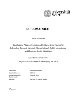 Diplomarbeit