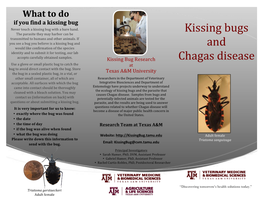 What to Do If You Find a Kissing Bug Never Touch a Kissing Bug with a Bare Hand