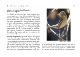 Western Or Pacific-Slope Flycatcher